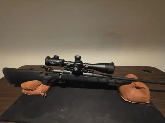 Savage Model 11 - 223
