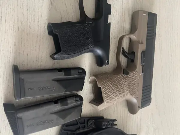Sig P365