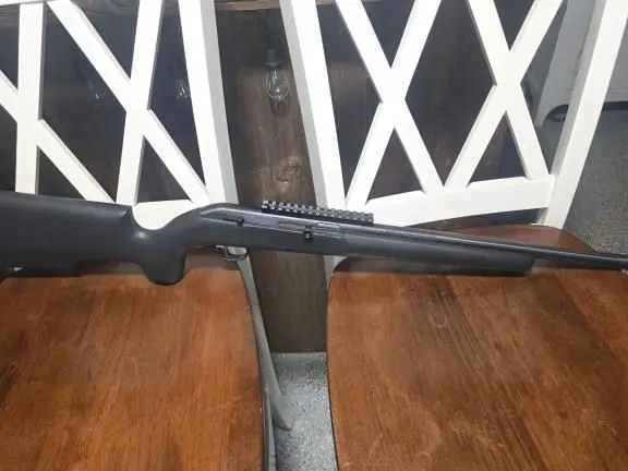 Savage model 64 target