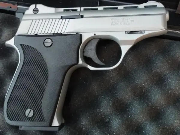 PHOENIX ARMS 22
