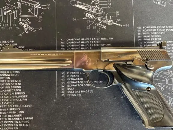 Colt Woodsman