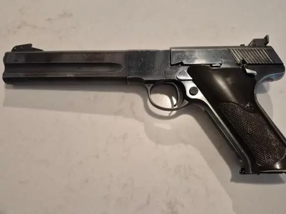 Colt Match Target