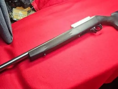 Ruger 10-22