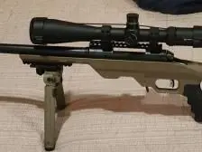 Savage 308