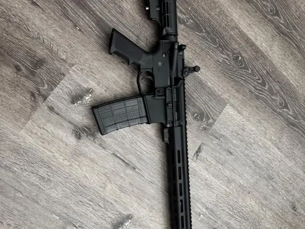Delton AR15