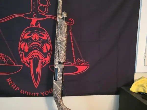 Winchester sxp
