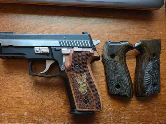 SIG P 229 EQUINOX