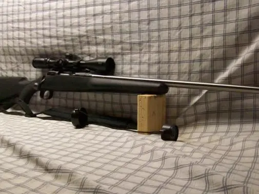 204 Ruger