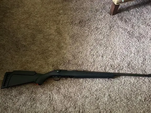 Ruger American 22
