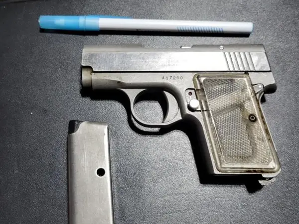 AMT .380 Backup.