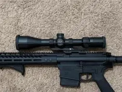 Custom Built Ar10 .308