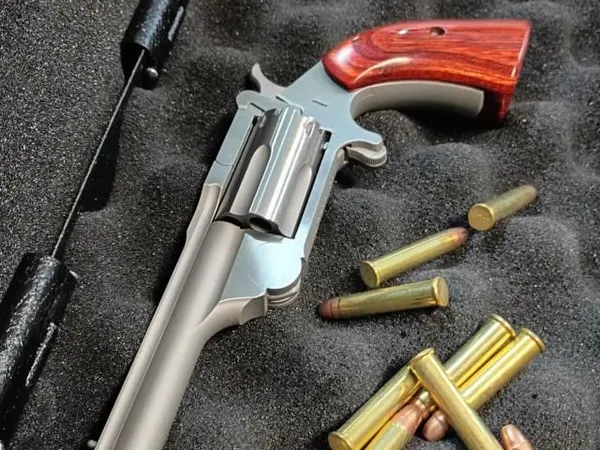 NAA Ranger 22mag