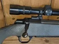 Browning A Bolt