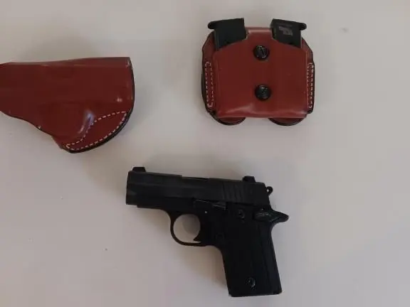 sig 238