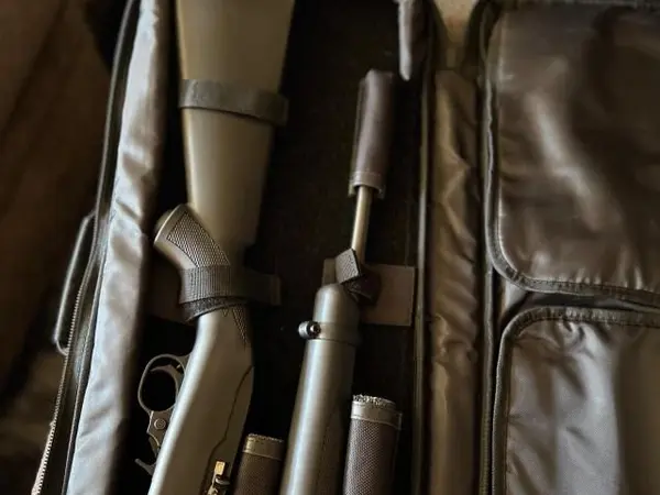 New Ruger 10/22 Take Down