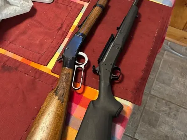 2 22lr rifles