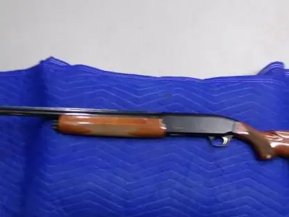 Browning Gold Hunter