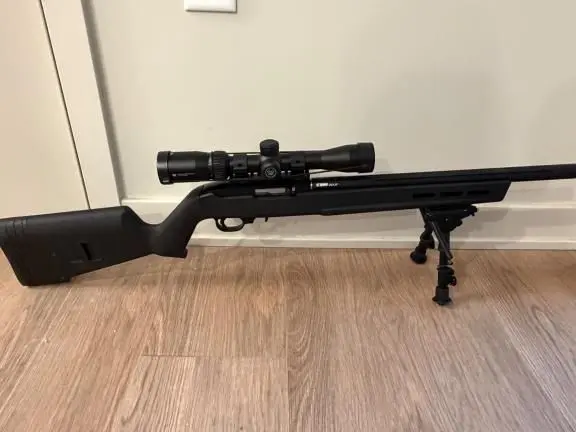 Ruger 10/22