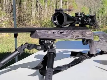 270 Win Ruger American in Boyd's stock
