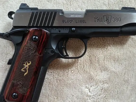 Browning Medallion Pro w/Nightsights & Holster