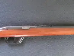 Winchester Model 77 22LR