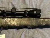 Savage Axis 243 Compact