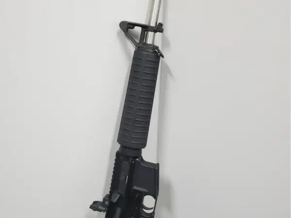 Bushmaster / Palmetto State Armory AR-15