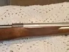 Kimber 84M Varmint