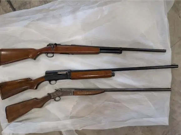12 and 16 gauge shotguns savage 720 A5 j.c. sears hercules