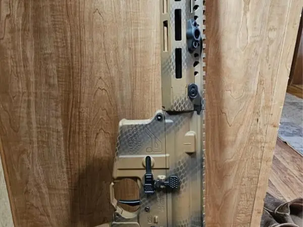 Custom AR15 223/556