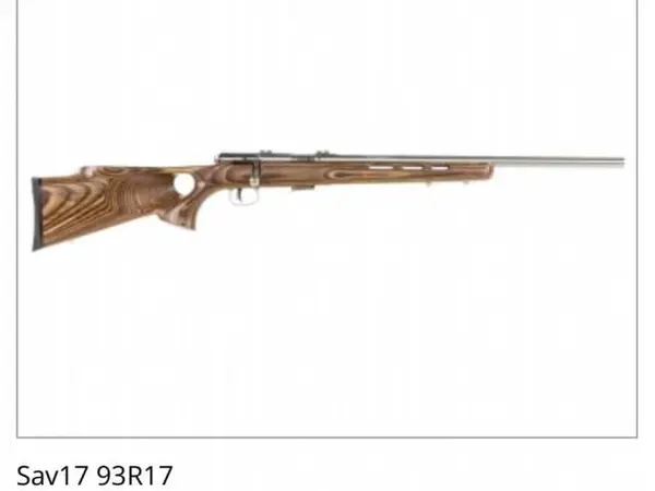 Savage 17HMR