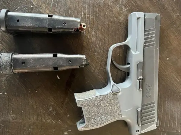 Sig p365