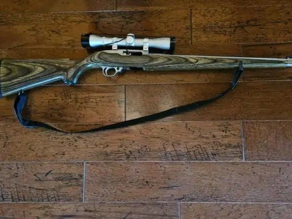 Ruger 10-22 Laminated Stock , Stainless Steel