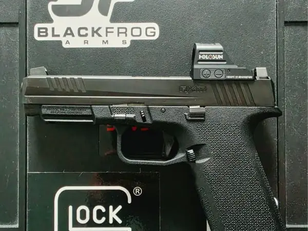 Ruger RXM Full size with Holosun