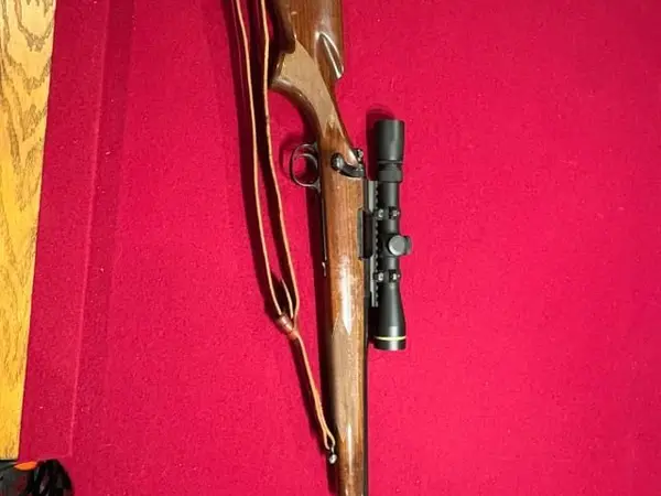 Custom Remington 700 Bushmaster