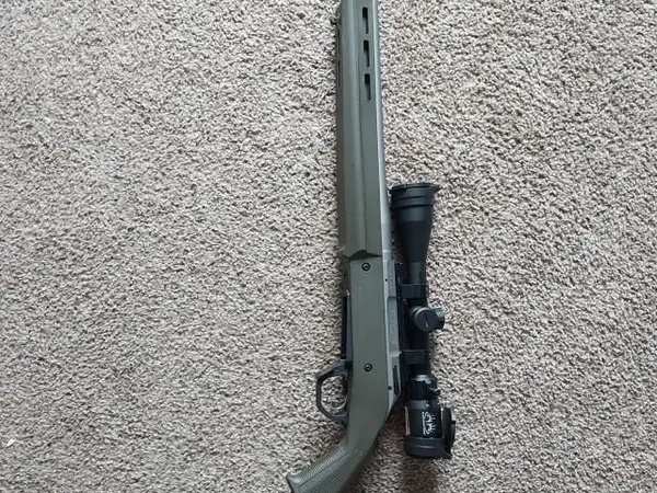 Ruger american gen 2 450 BM with magpul stock