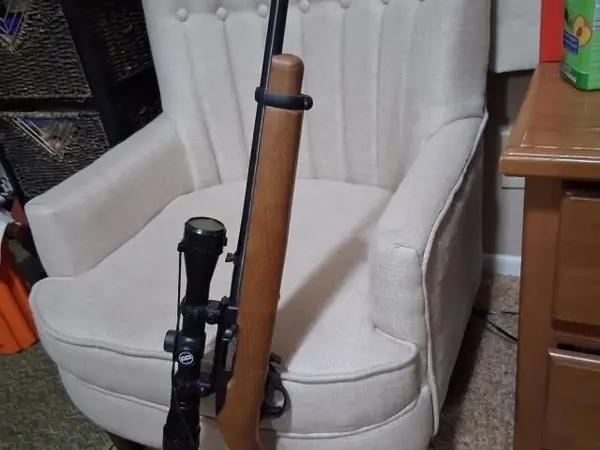 22 lr riffle