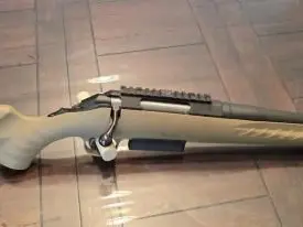 Ruger Ranch 450BM