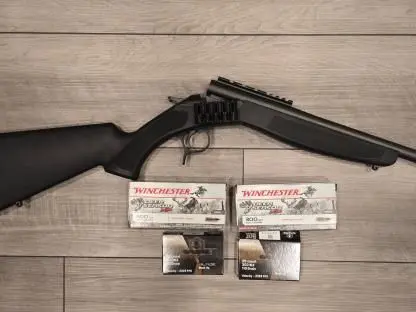 Cva scout 300 blk