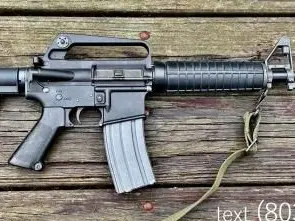 Model 723 AR15