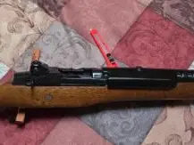 Ruger Mini- 14 .223 Cal.