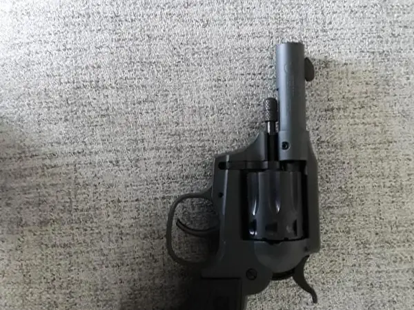 22 magnum DA/SA