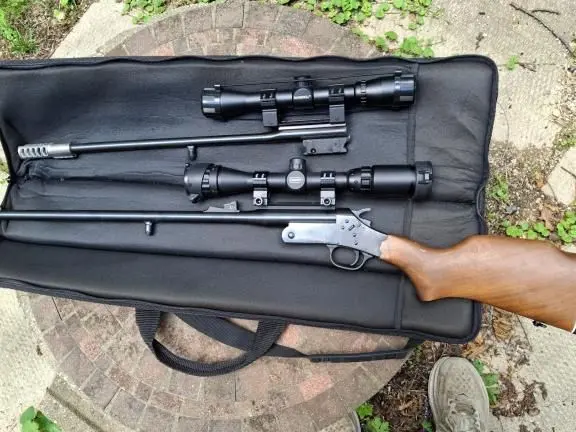 Braztech / Rossi 243 and 22lr