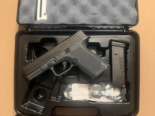 RUGER RXM