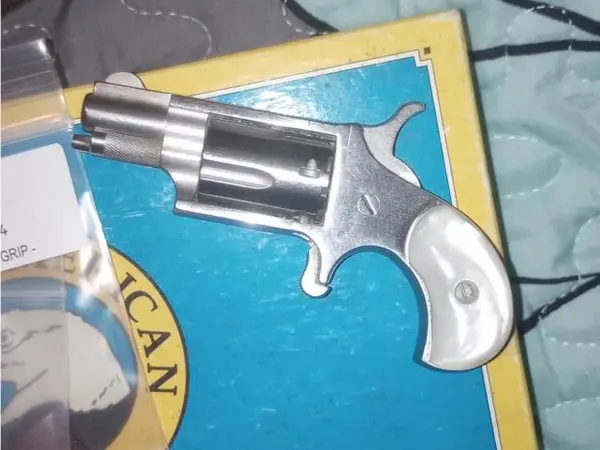 Naa 22 revolver
