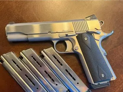 Dan Wesson Razorback 10mm