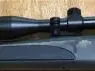 Remington 700 .243