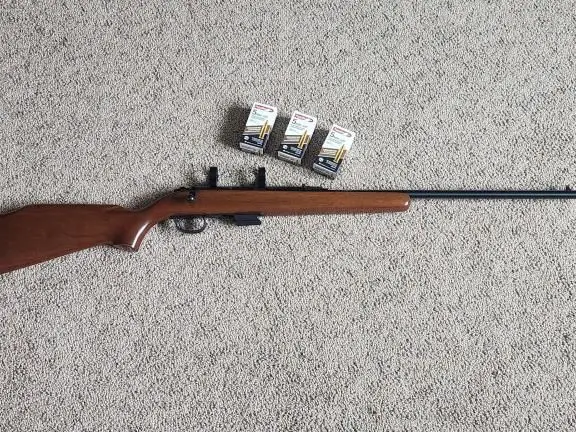 Remington 591M