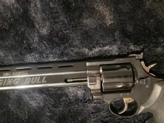 Taurus raging Bull .454 casull