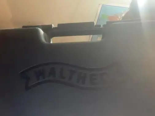 Walther PPS